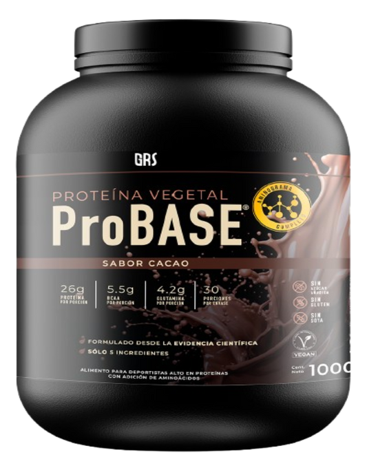 Proteína Vegetal ProBASE Cacao 1kg